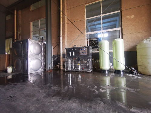 工艺与自动化并重 河南卫辉啤酒生产用每小时1吨纯水处理设备解析中的应用与控制